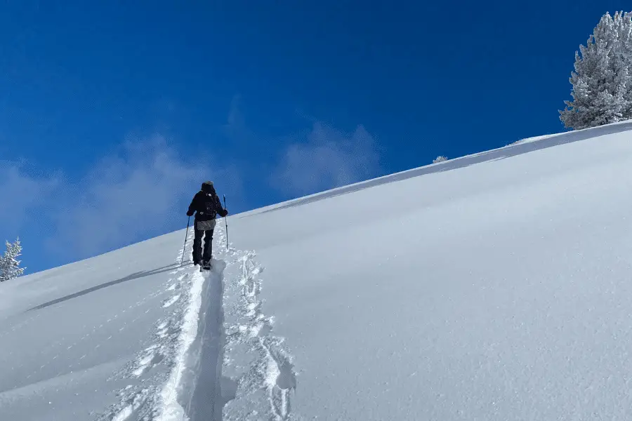 Crossblades split the difference between backcountry skis and